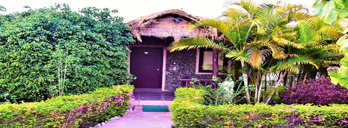 2531/Alaya Resorts - 09.jpg